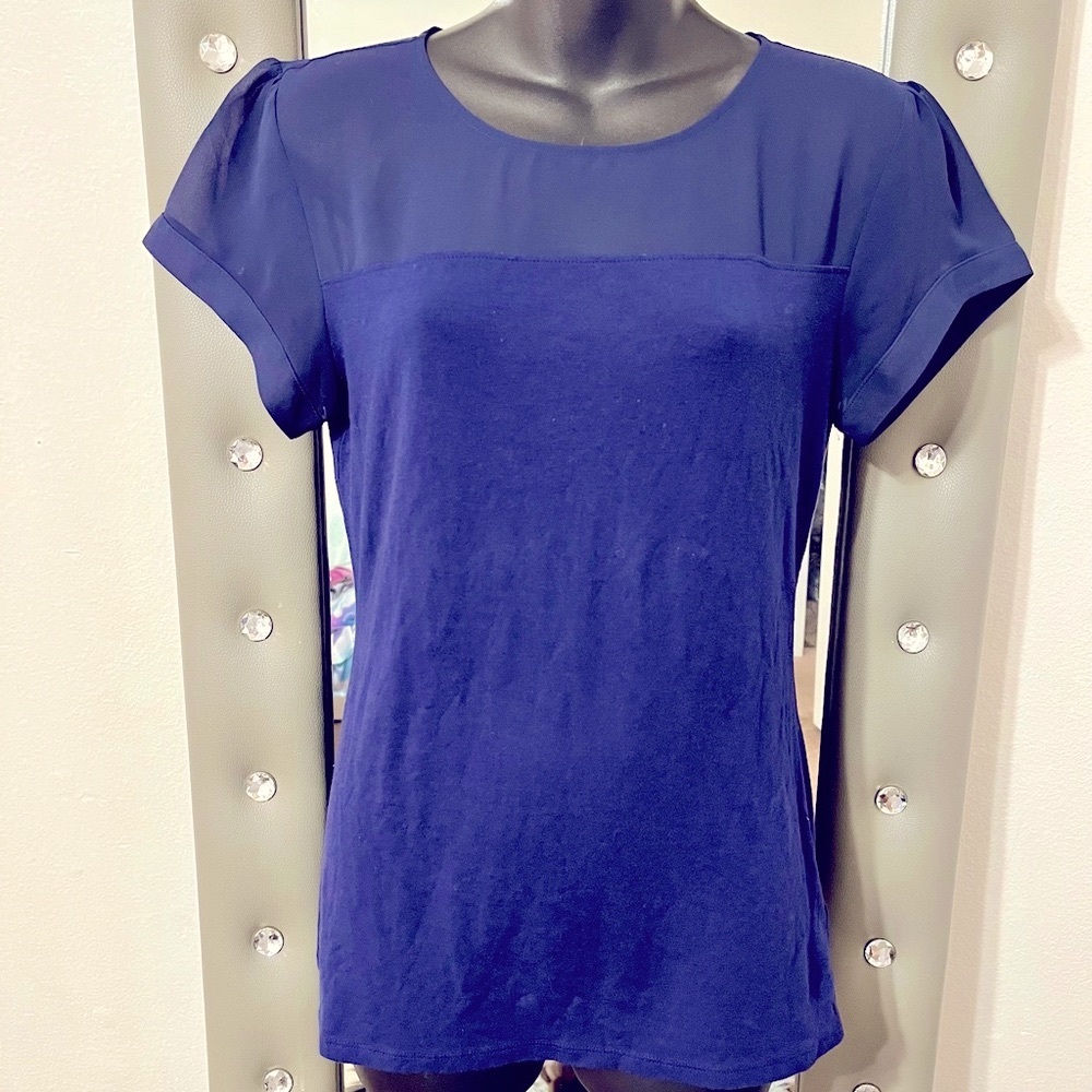 Express Sheer blue/cotton top with puff sleeves
